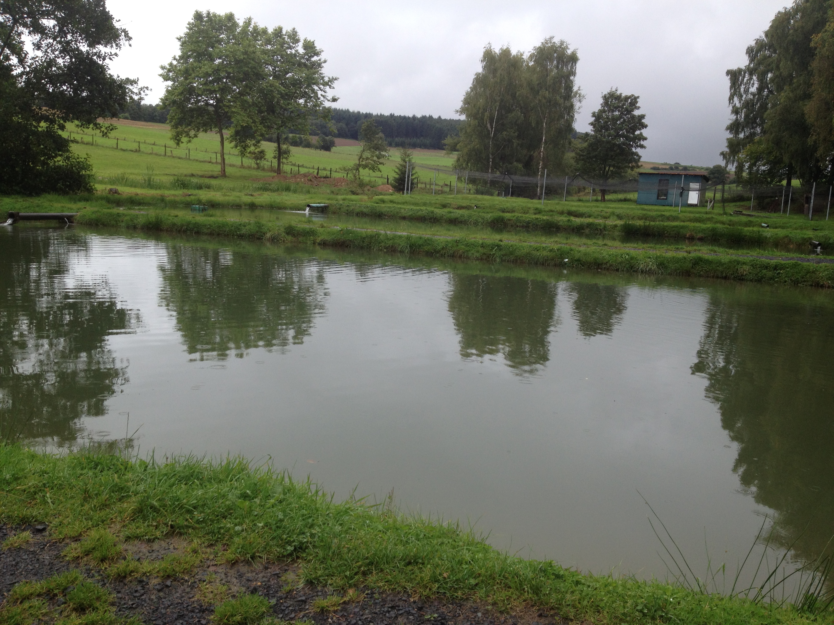 Teichanlage Niedererbach